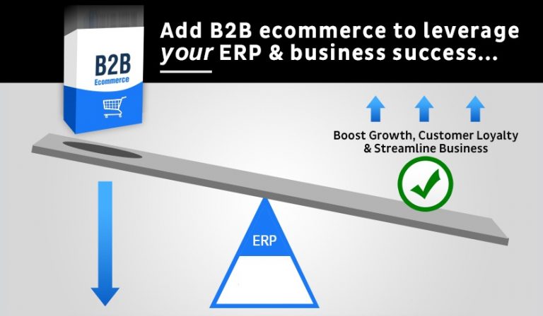 erp ecommerce b2b