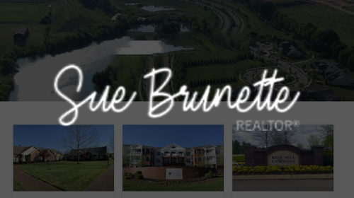 SUE BRUNETTE REALTOR