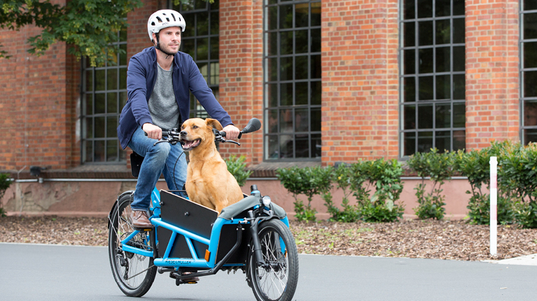 e-bike riese and muller