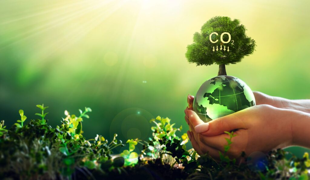 The Ultimate Guide to Reducing Your Carbon Footprint