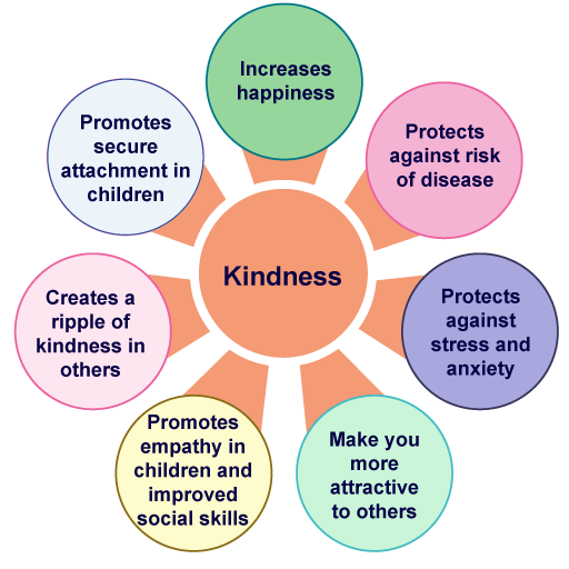 unnamed 2024 08 26T150155.961