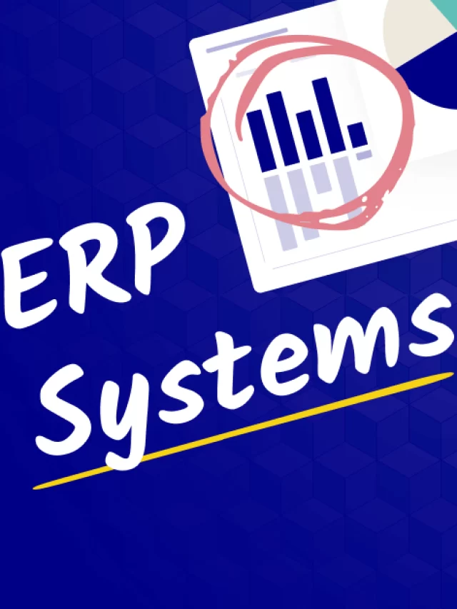 ERP System Examples
