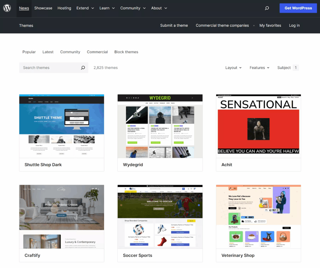 WordPress Themes