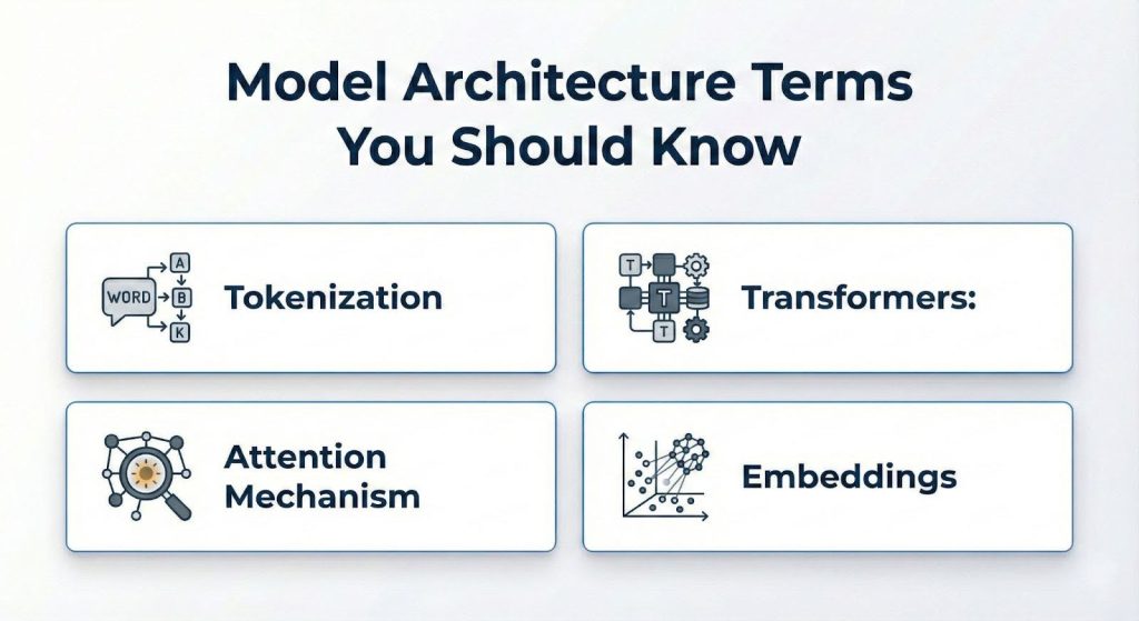Model Architecture Terms You Should Know