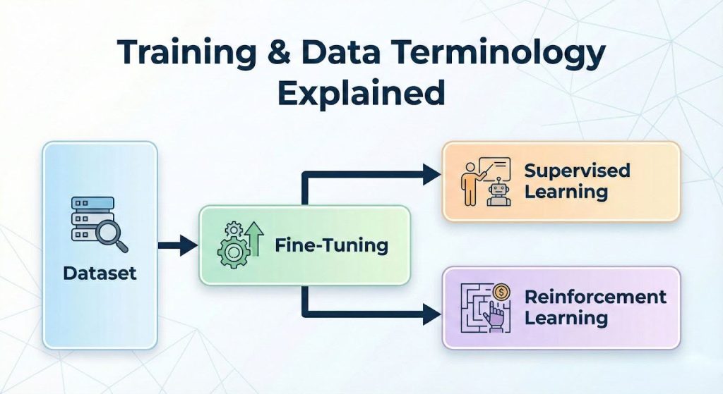 Training & Data Terminology Explained