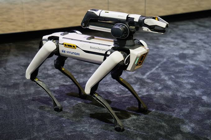 Boston Dynamics