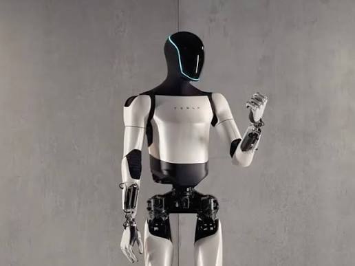 Tesla Robots